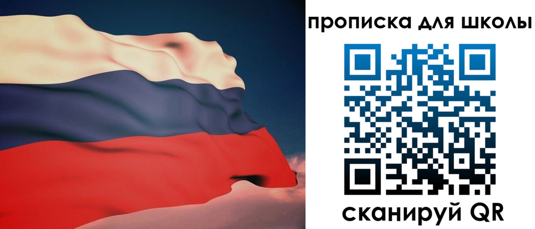 временная регистрация поиск в Псковской области